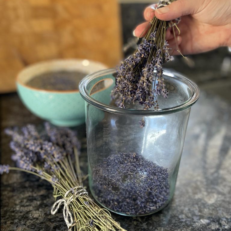 Dried lavender spikes